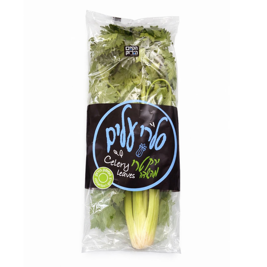 מארז סלרי עלים