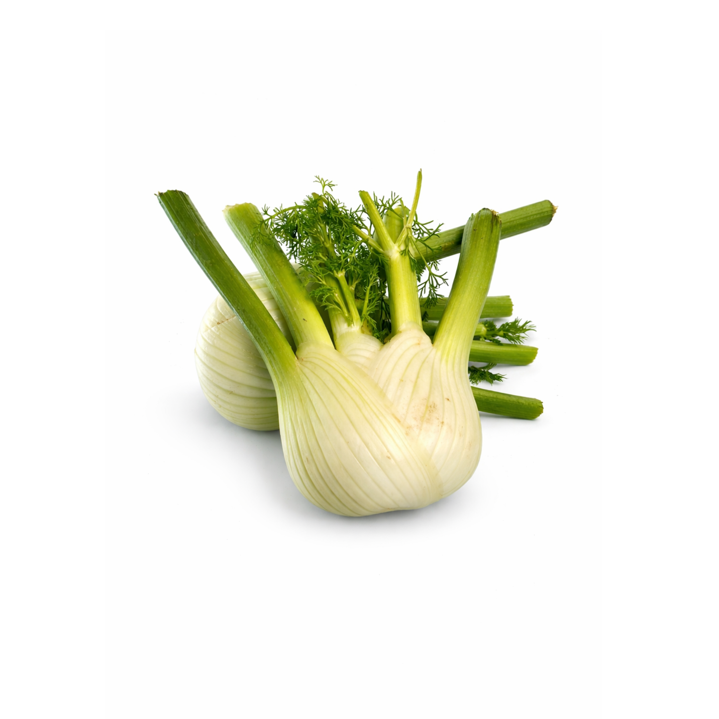 שומר