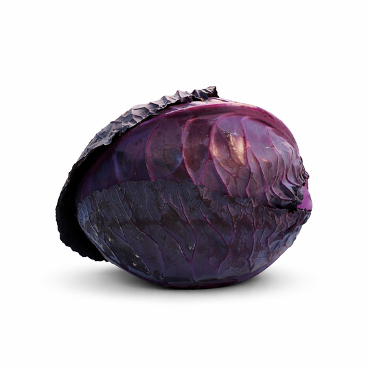 כרוב סגול(אדום)