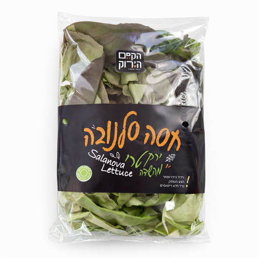 מארז חסה סלנובה