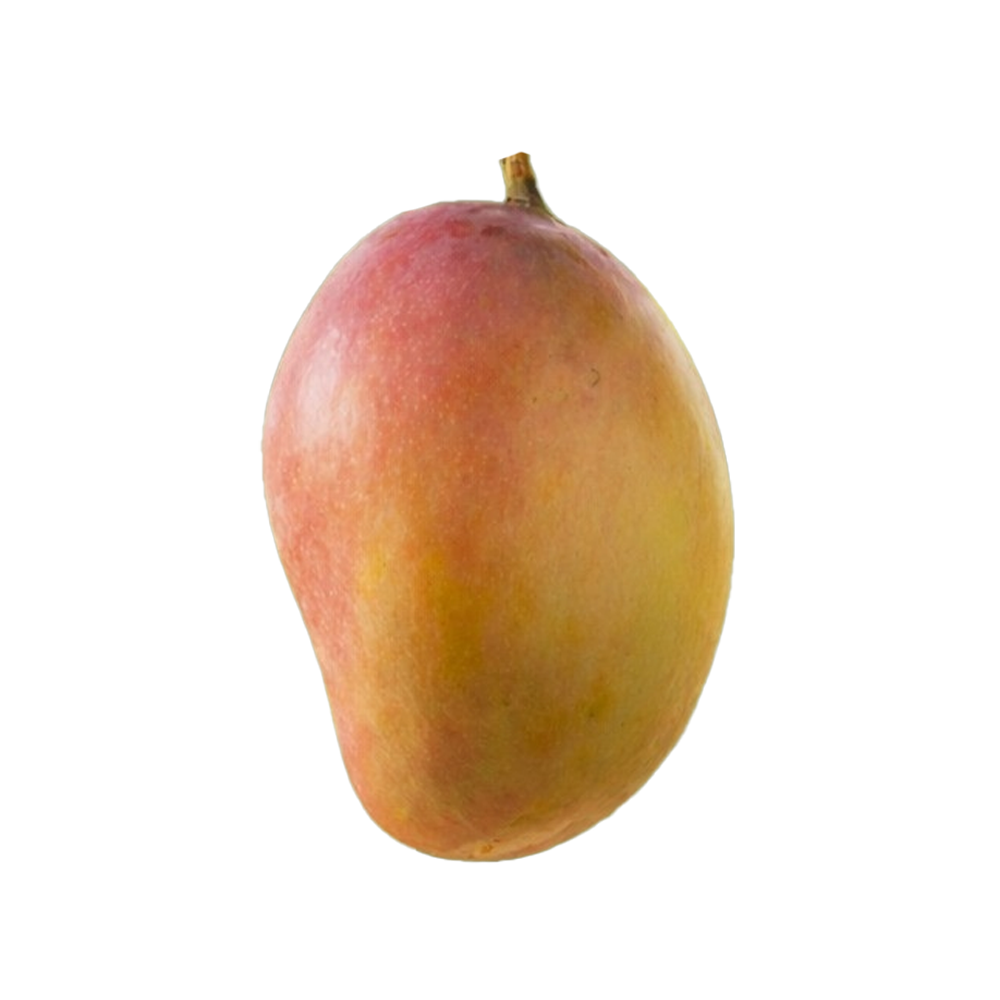 מנגו שלי